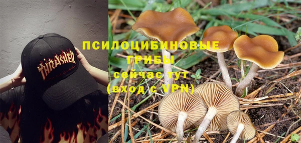 ALPHA PVP Вязьма