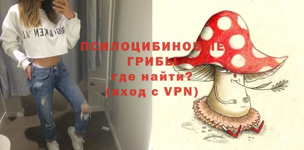 соль ск Вяземский