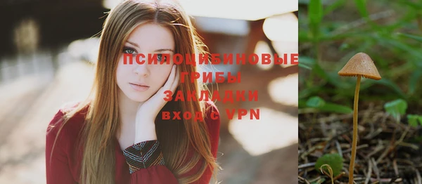 Альфа ПВП Вязники