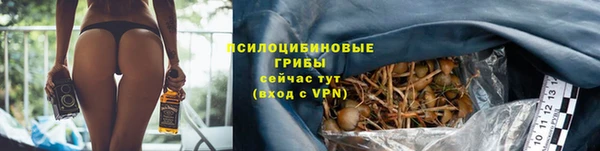 соль ск Вяземский