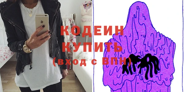 соль ск Вяземский