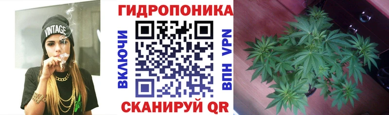 Шишки марихуана Ganja  Перевоз 